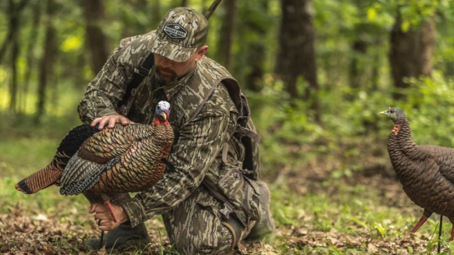 Turkey hunter setting up Avian-X jake and hen decoys