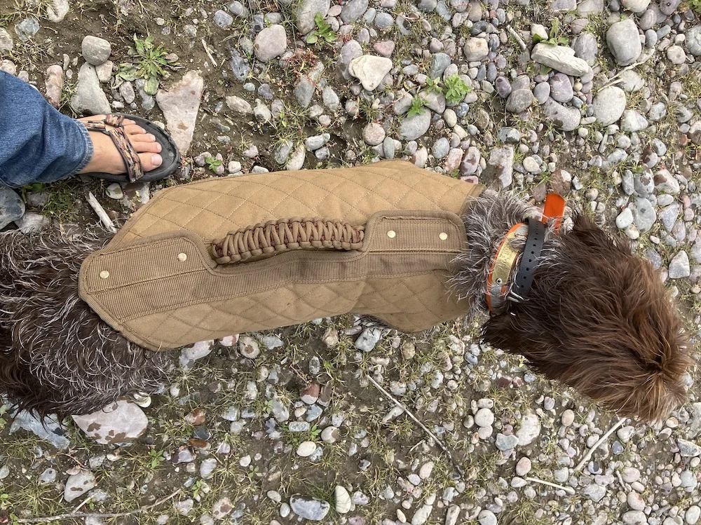 Rig'Em Right Bloodline Elite Dog Vest paracord handle