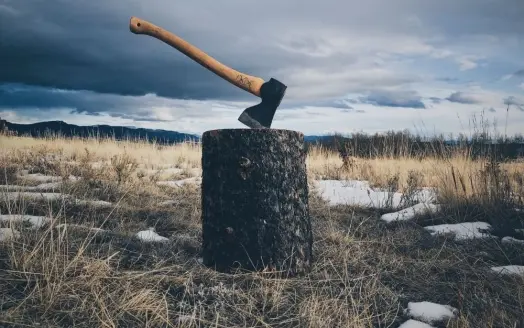 A wood-splitting axe.