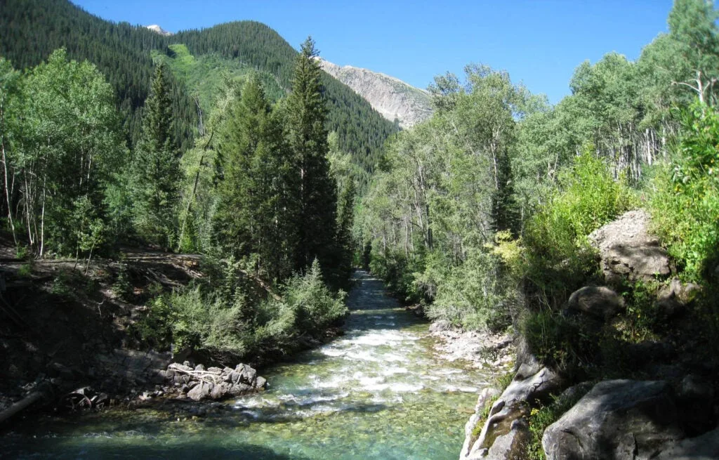 trout fishing colorado gunnison