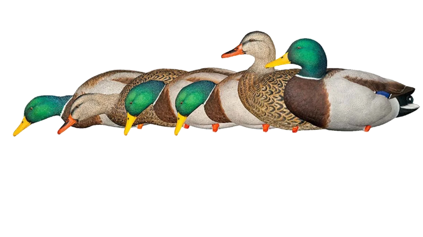 Avian X AXP Full Body Mallards