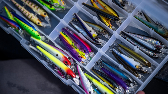 Rapala Minnow Fishing Lures