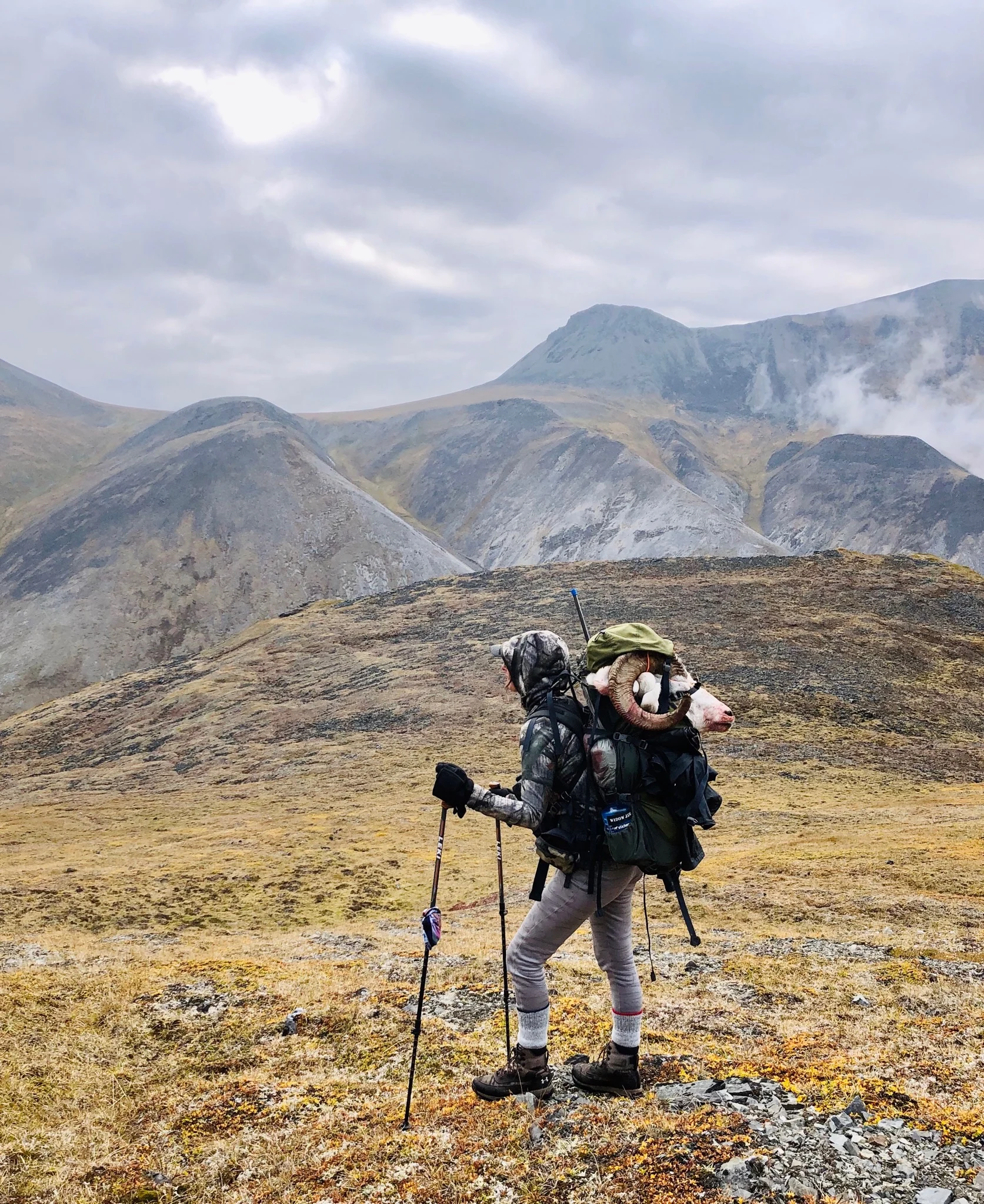 Hunter packs out Dall sheep in Brooks Range. 