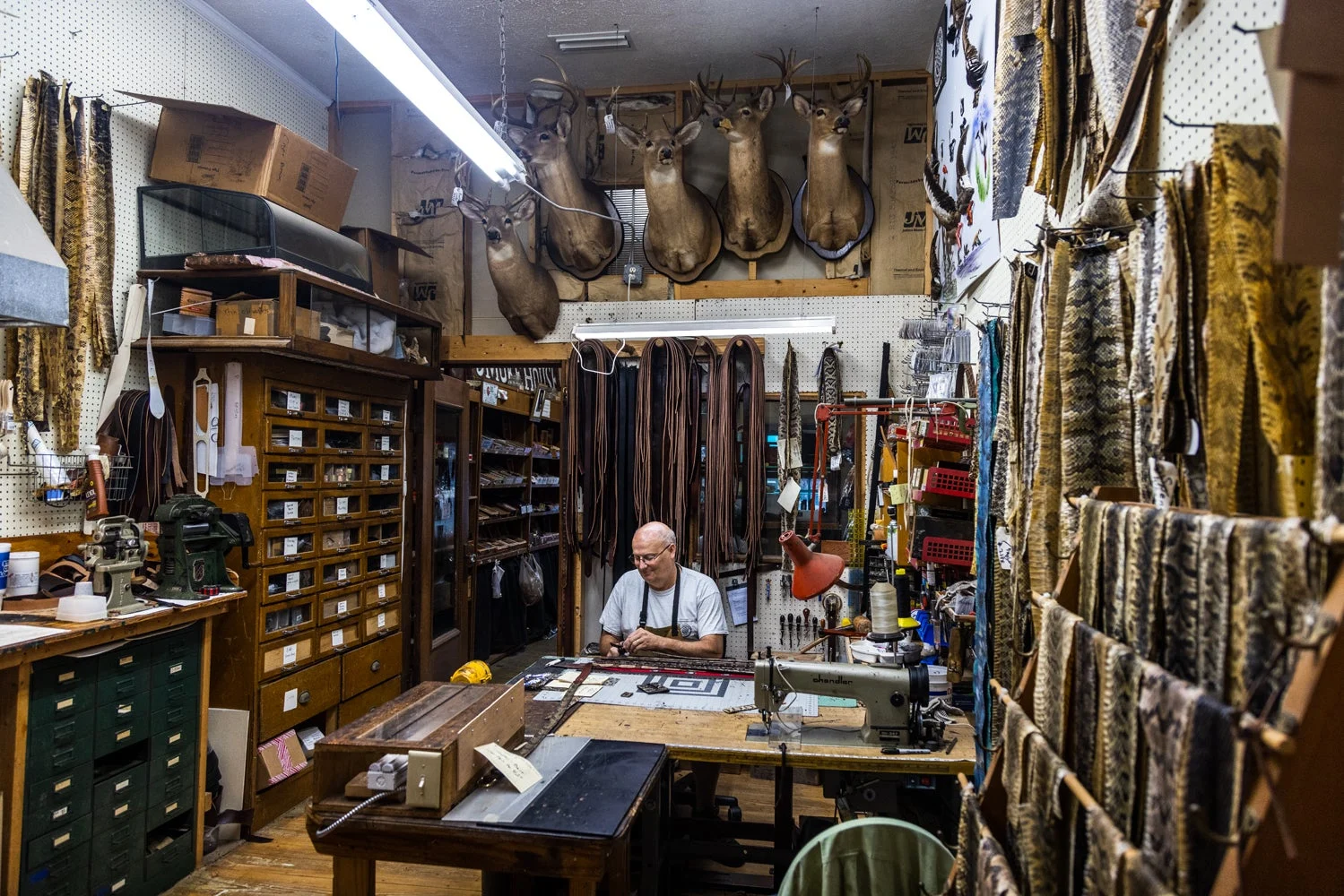 Man working on taxidermy snakeskin belts.