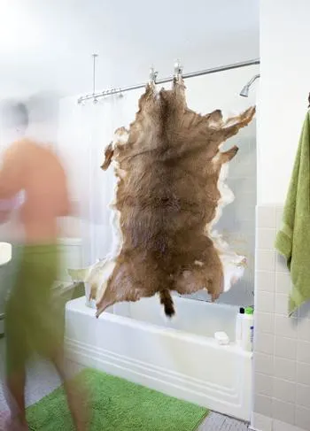 A deer hide hanging in a shower.