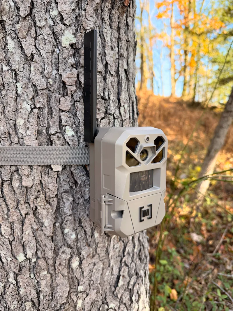 Moultrie Edge 3 Pro trail camera mounted on tree