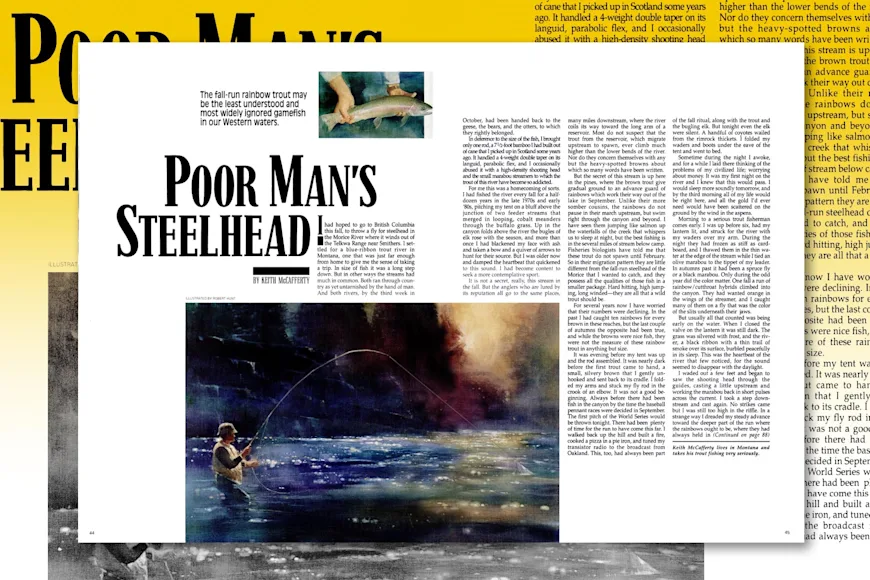 Field & Stream steelhead story