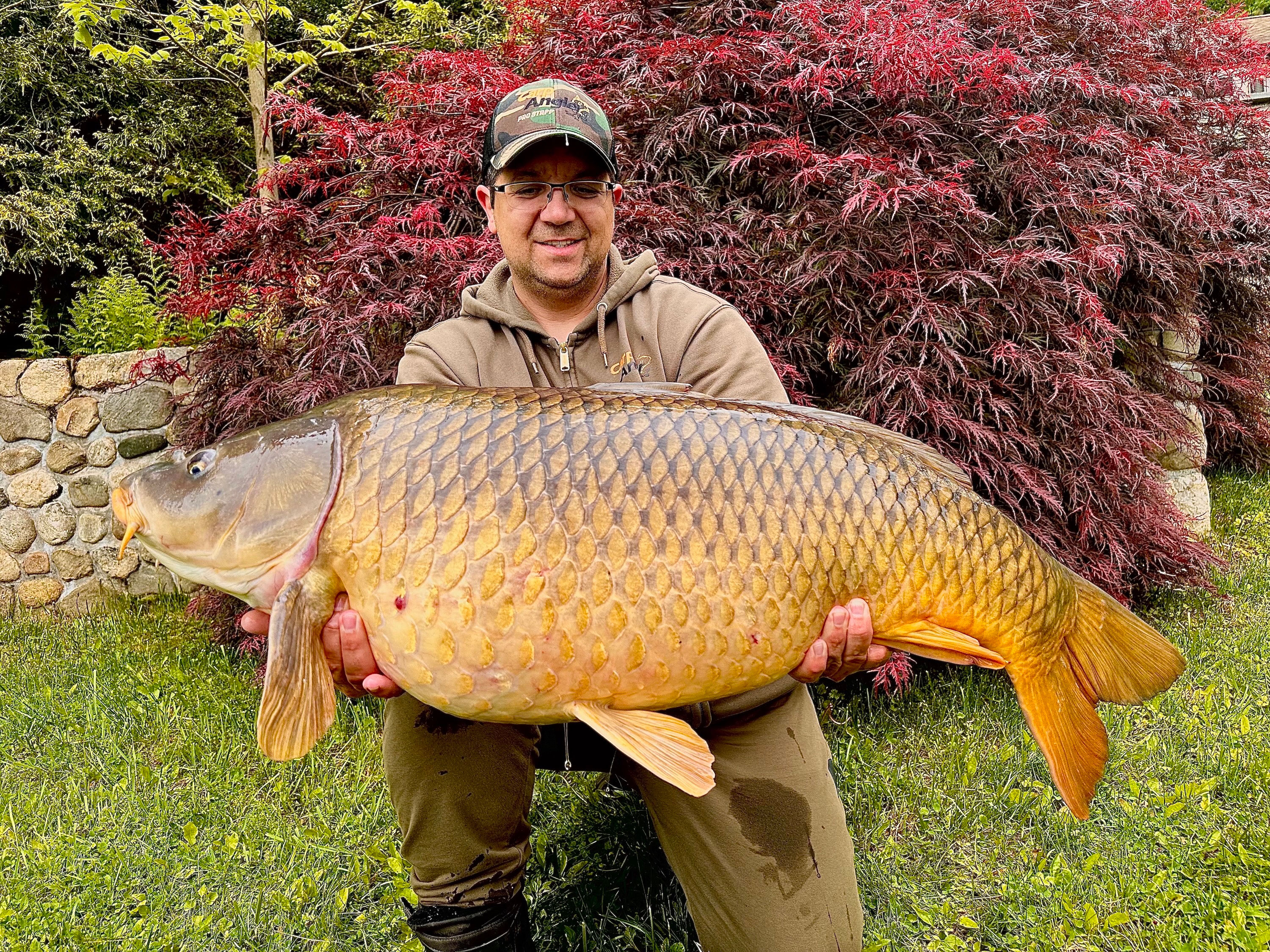 An angler poses with a record carp caught in Connecticut. 