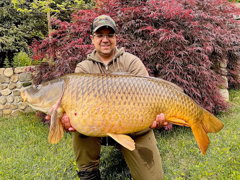 An angler poses with a record carp caught in Connecticut.