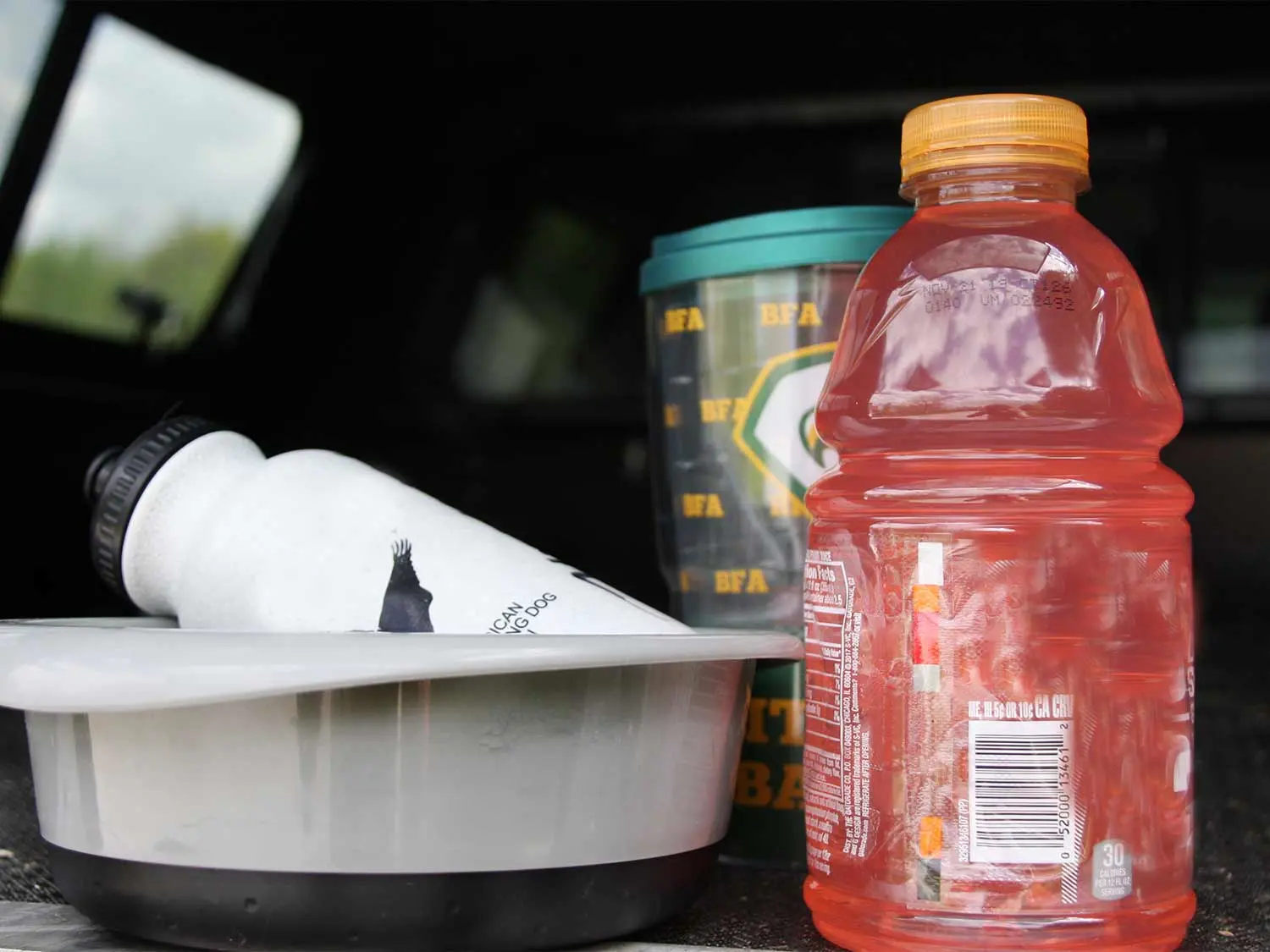 gatorade next to a water bowl