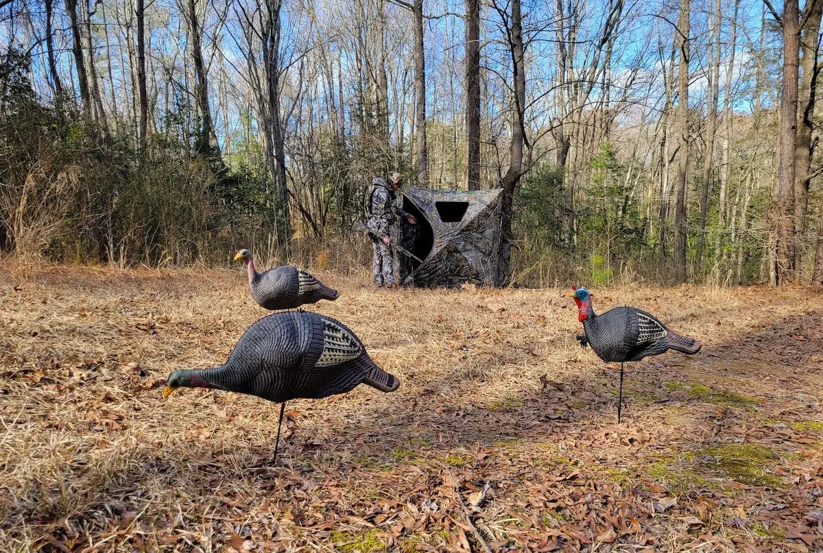 Turkey hunting ground blind set up in the woods behind turkey decoys