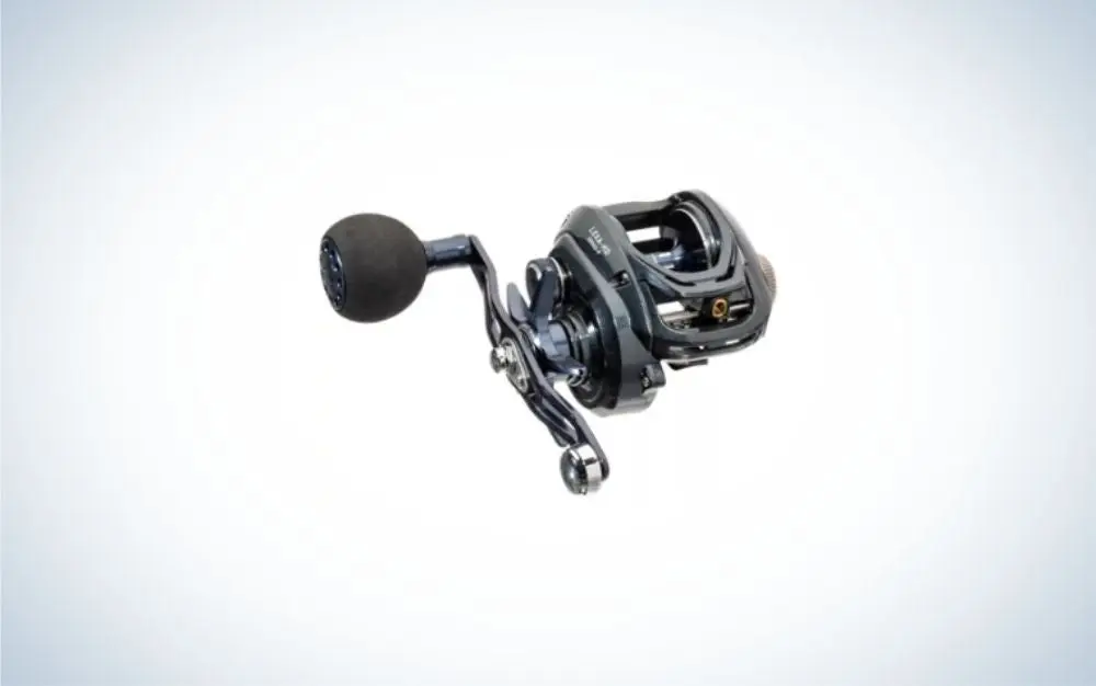 Daiwa Lexa HD is the best fishing reel for saltwater.