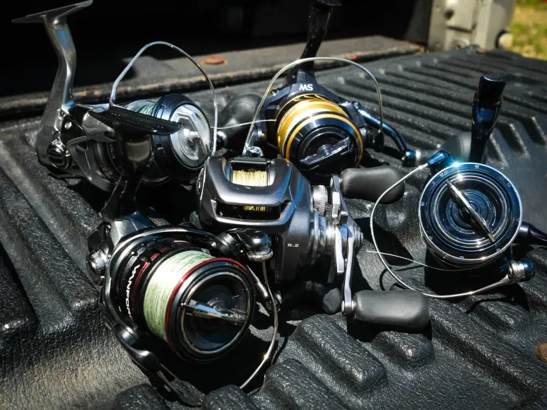 Shimano Reels