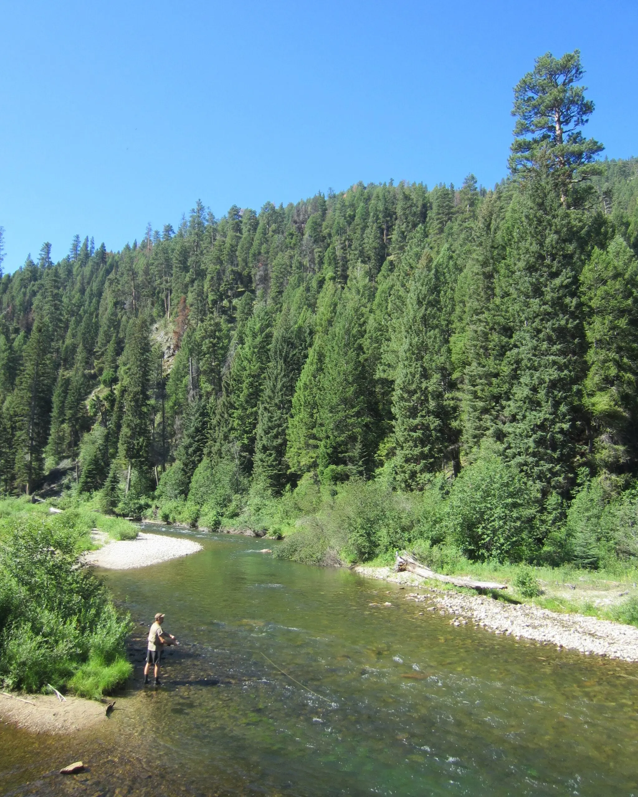 west fork bitteroot