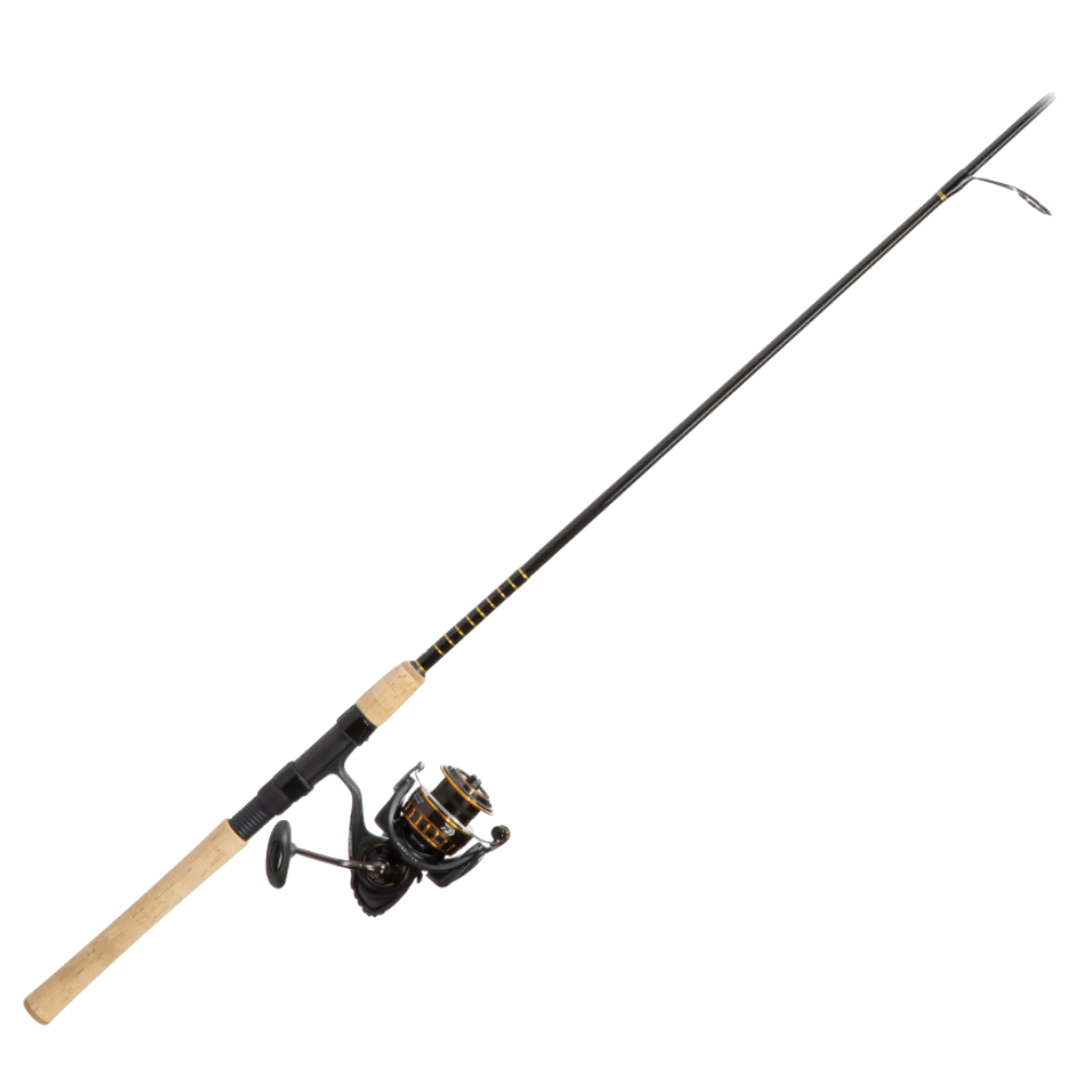 Daiwa BG Inshore Spinning Combo