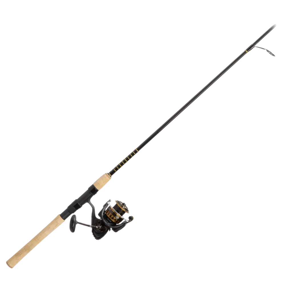 Daiwa BG Inshore Spinning Combo