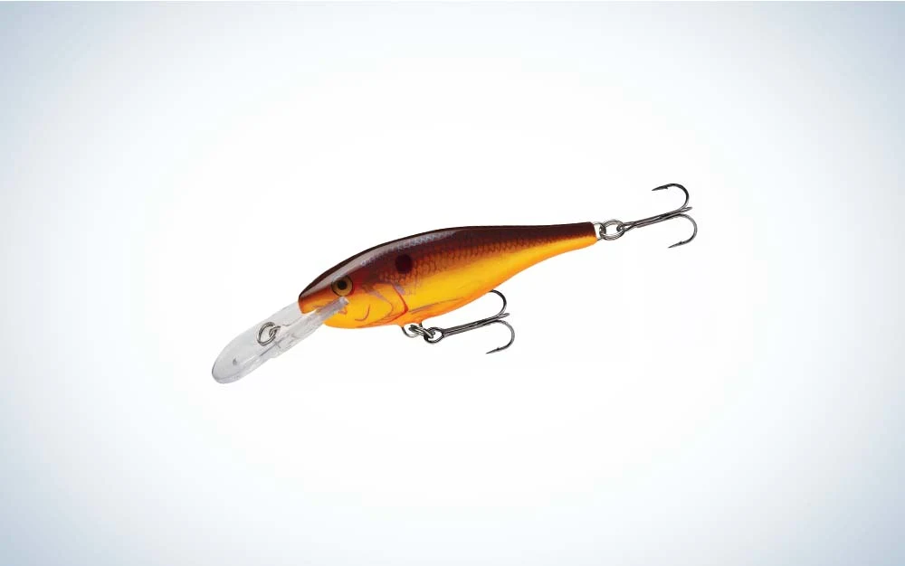 Rapala Shad Rap SR05 bait