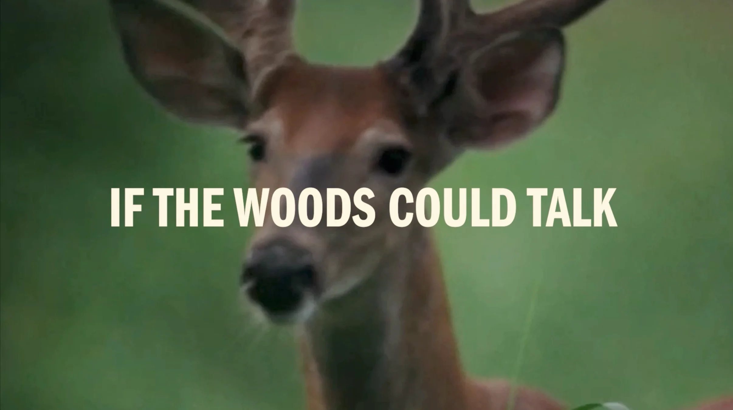 FS Moultrie Partnership sizzle reel thumbnail