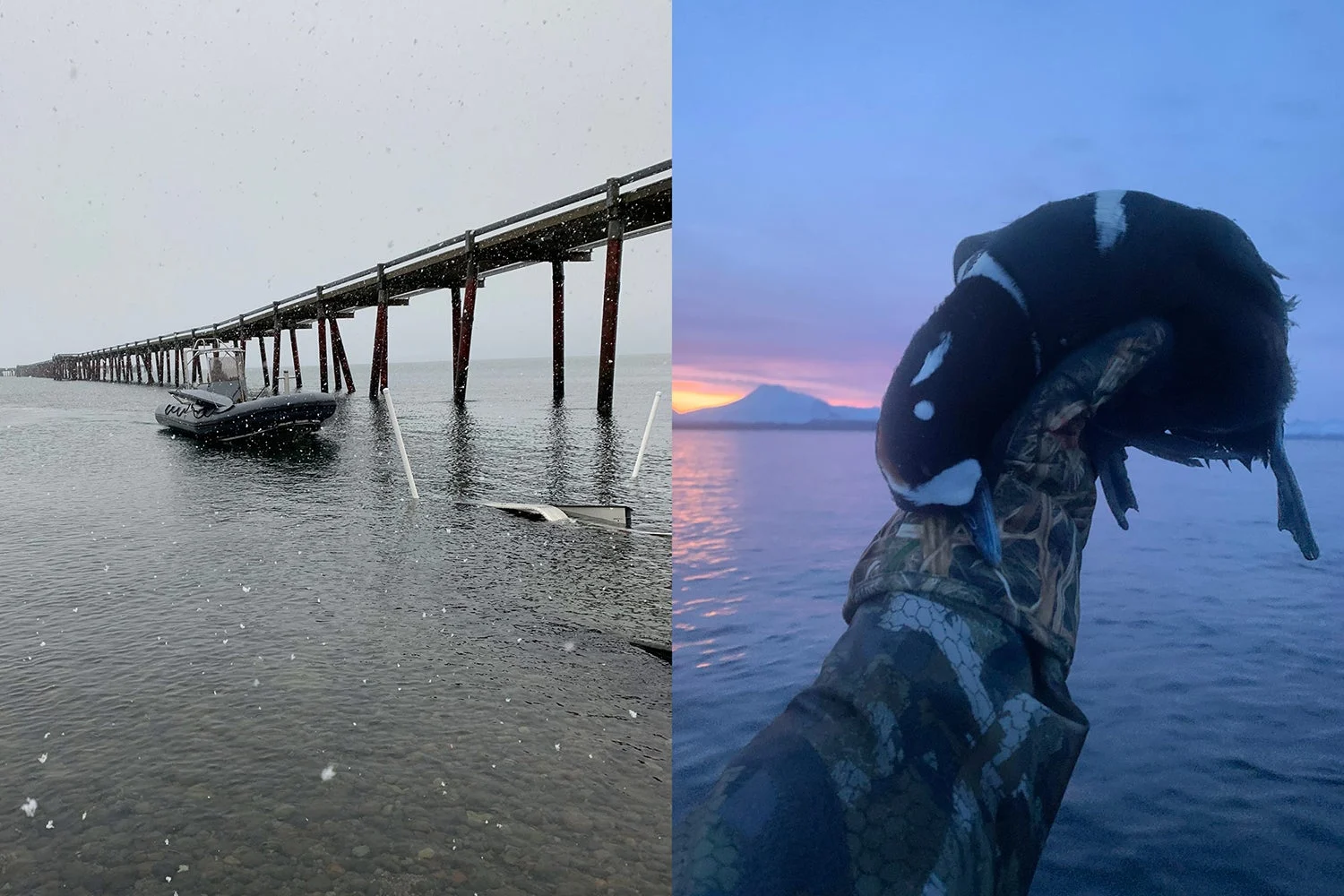 diptych of boat and duck