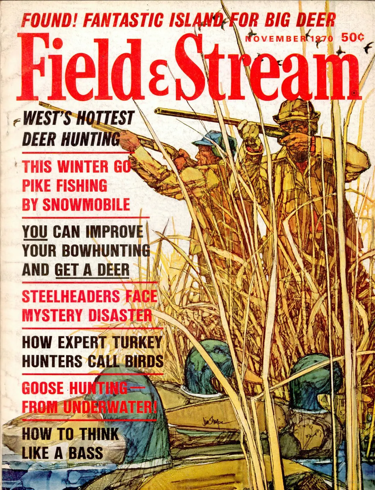 FIeld &amp; Stream magazine cover from November 1970