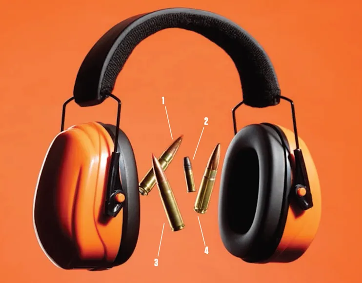 subsonic cartridges, best subsonic cartridges,