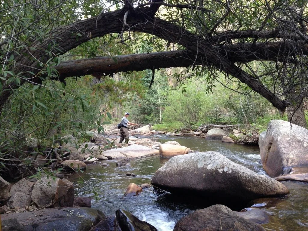 Fisherman on a creek in the woods.