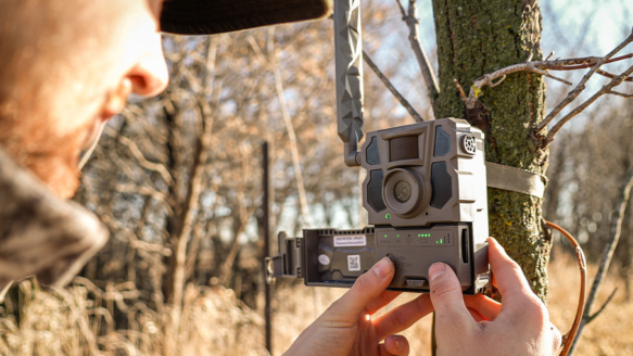 Man checking Tactacam cellular trail camera on tree