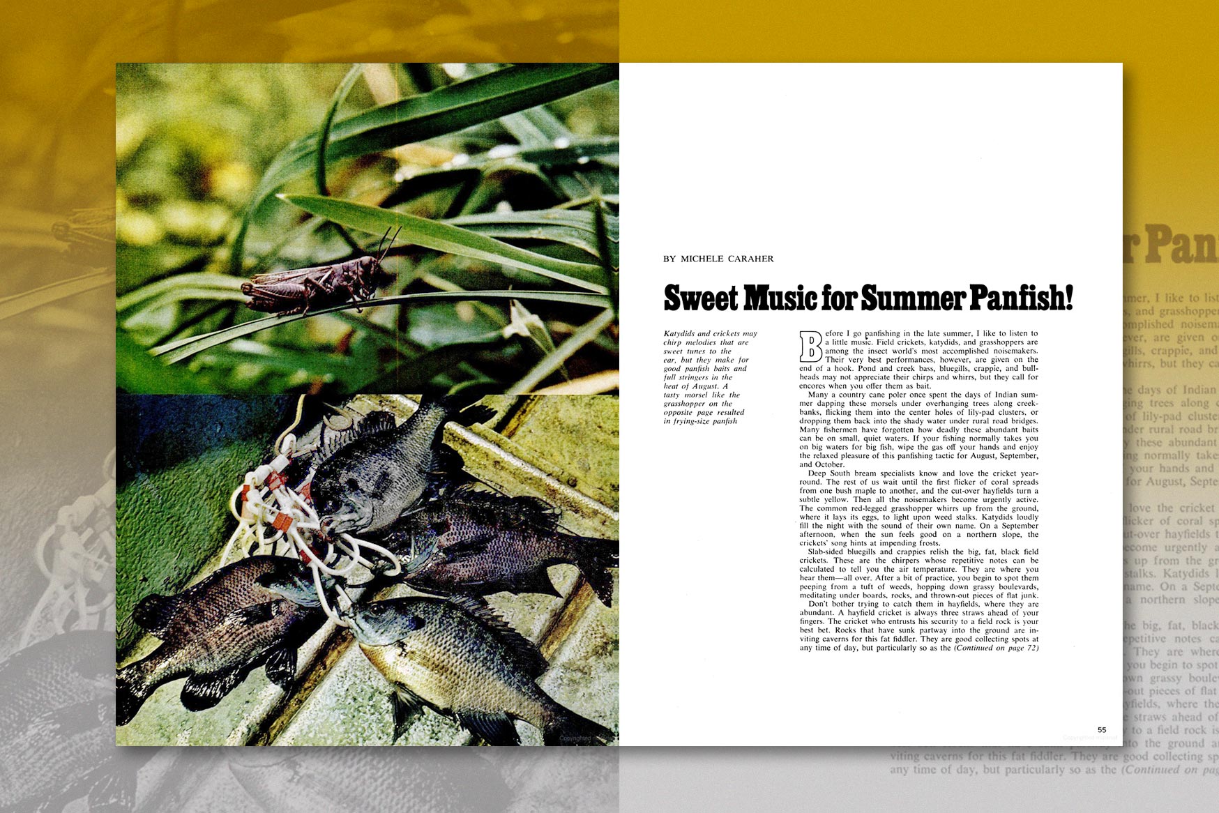 fishing with crickets