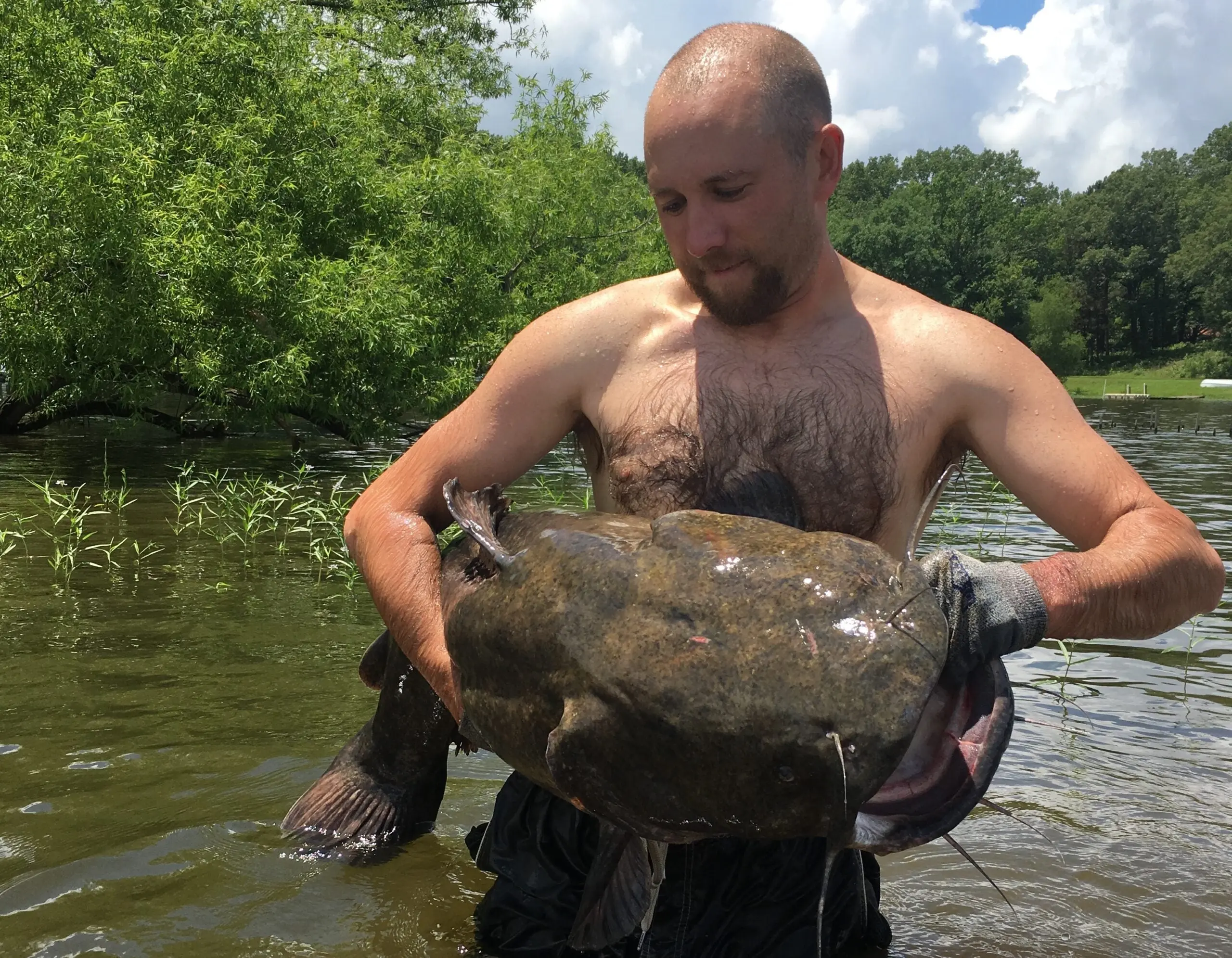 Image of a man holding a catfish he caught in a river by catfish noodling. 