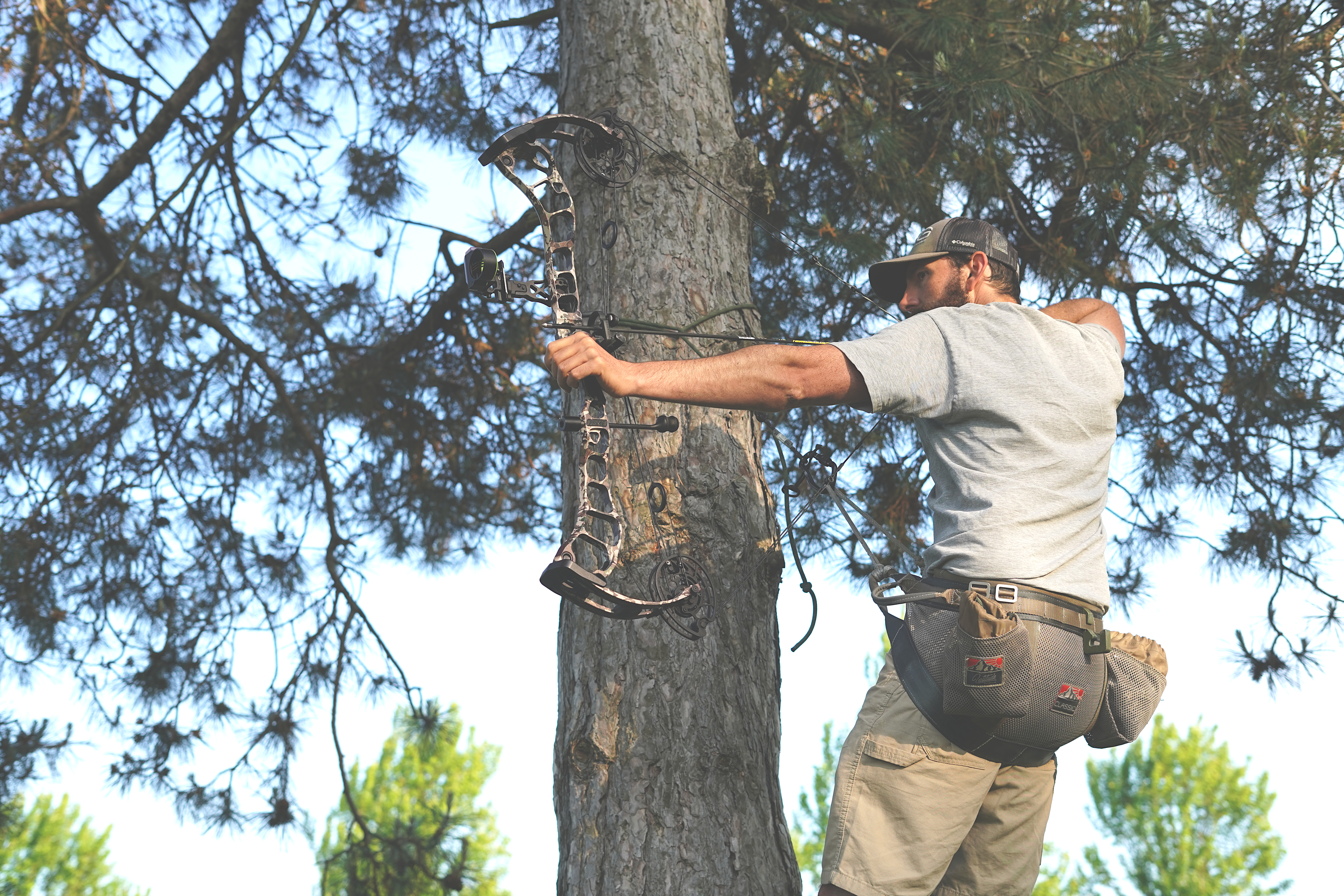 A hunter in a tree saddle draw a compound bow. 
