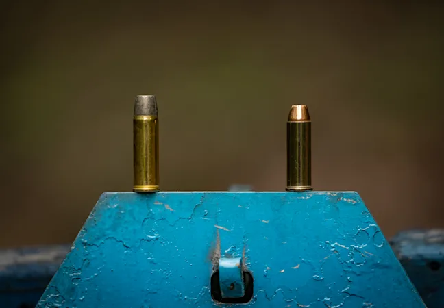 The 454 Casull and 44 Magnum