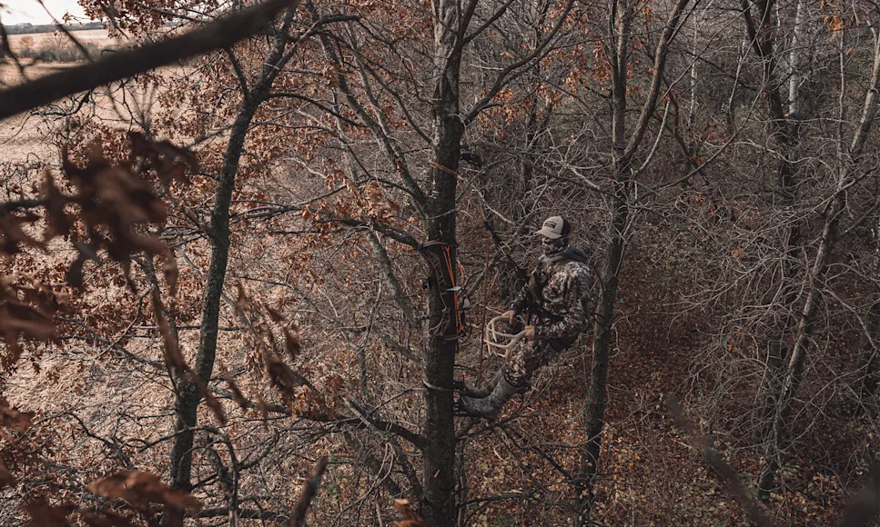 A hunter in a tree stand bangs rattling antlers together.