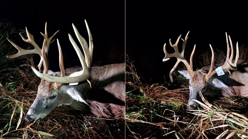 Two angles of a 206-inch buck taken by a bowhunter in Iowa.