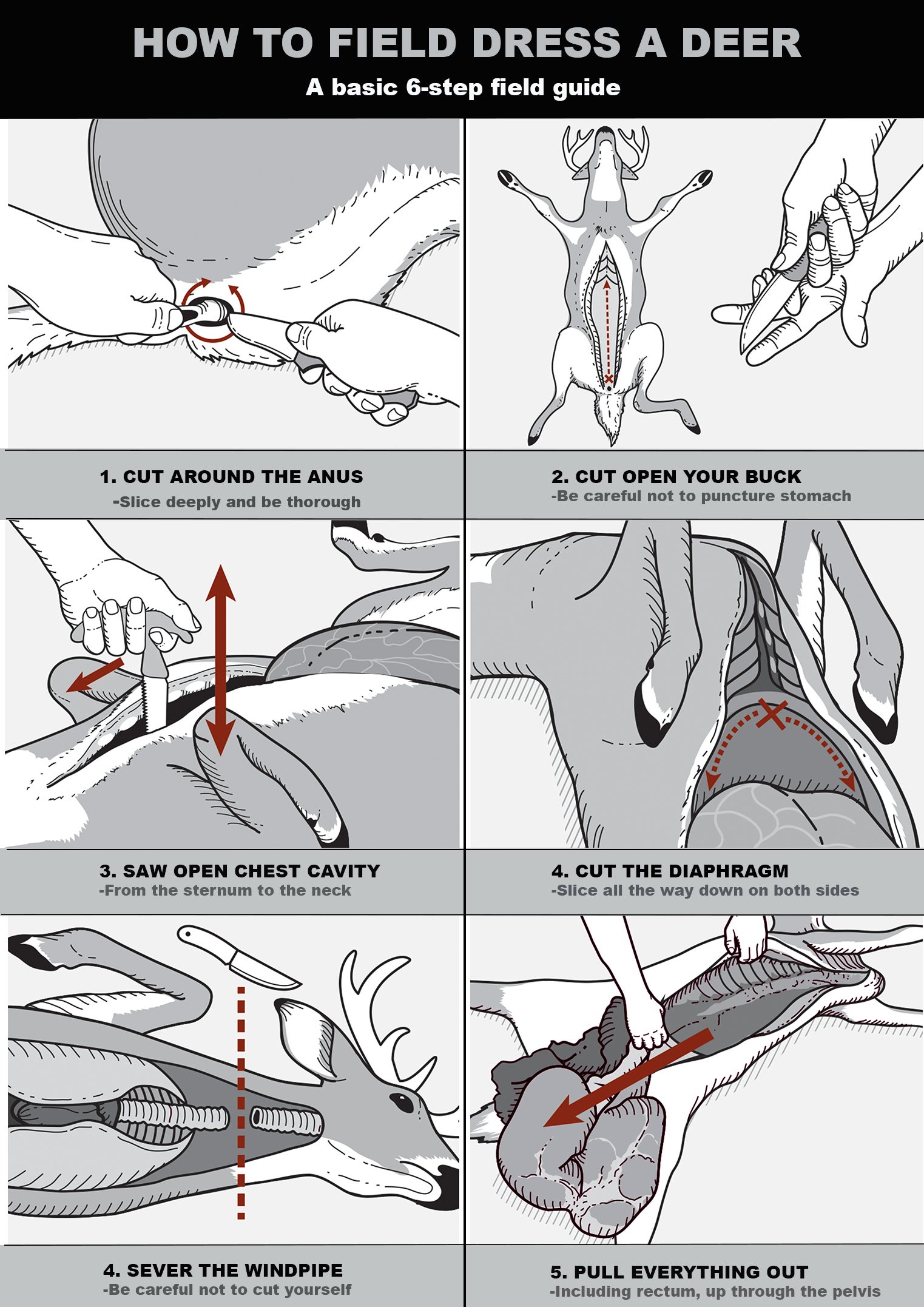 How to Field Dress a Deer, Step-By-Step | Field & Stream