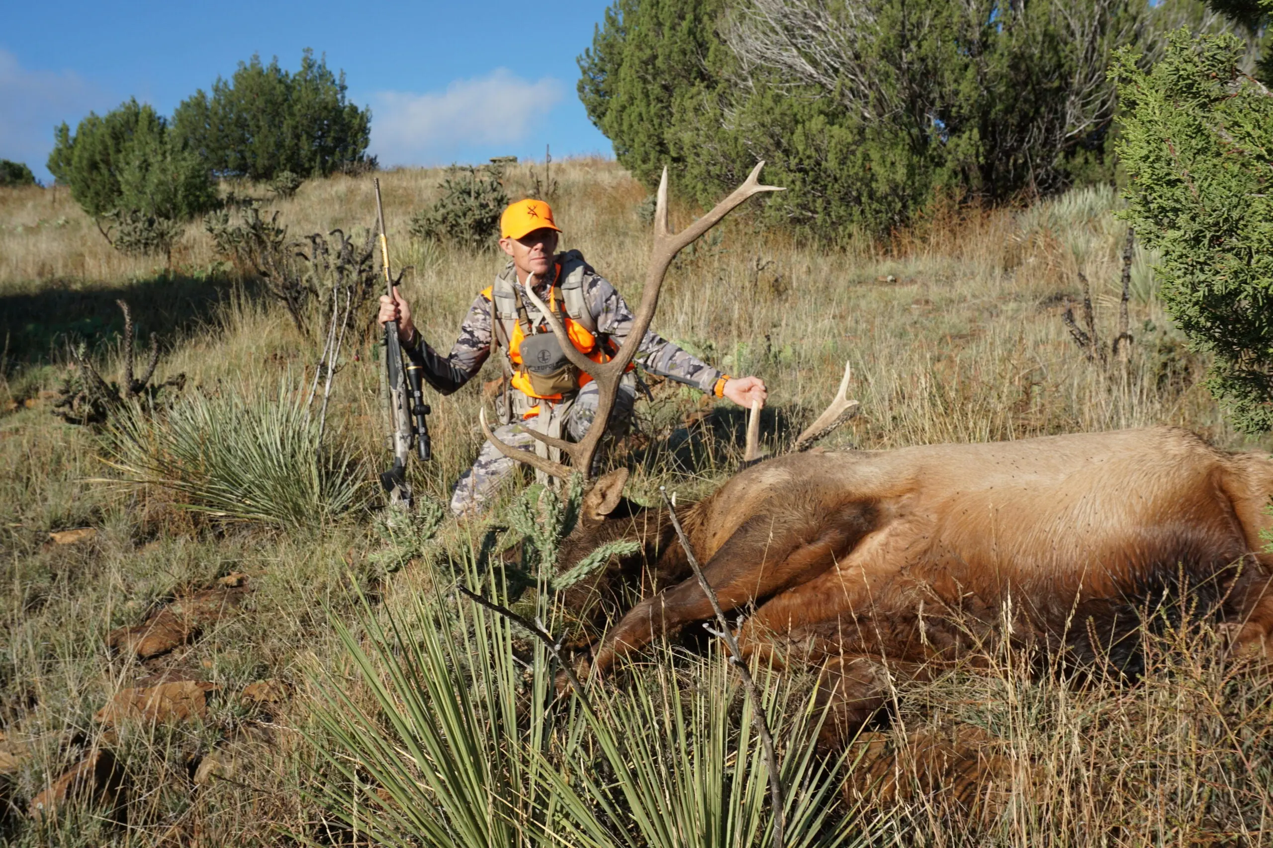 colorado elk hunting