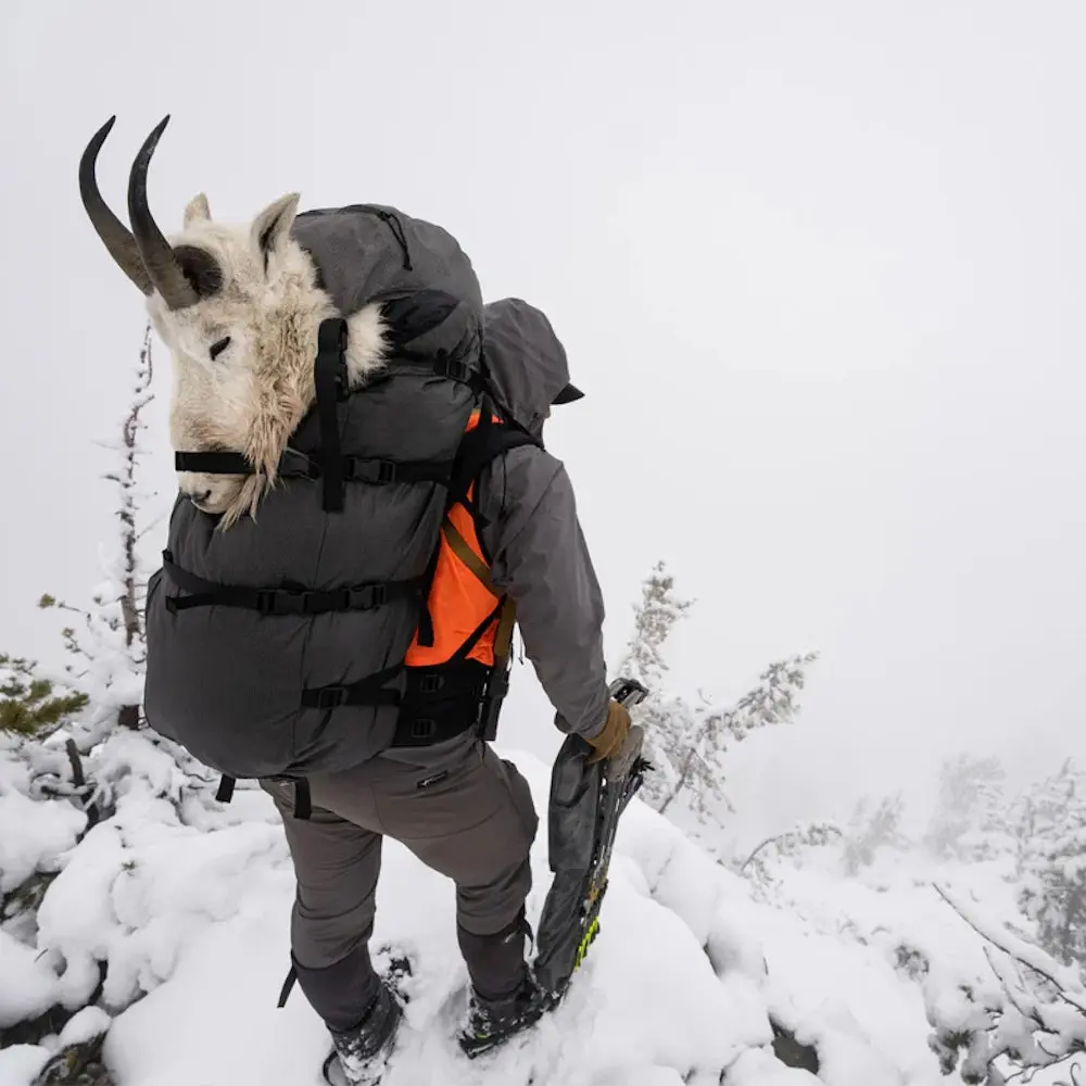 Sheep hunter wearing Stone Glacier Terminus backpack in the snow