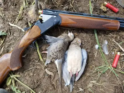 Rizzini BR 110 and doves