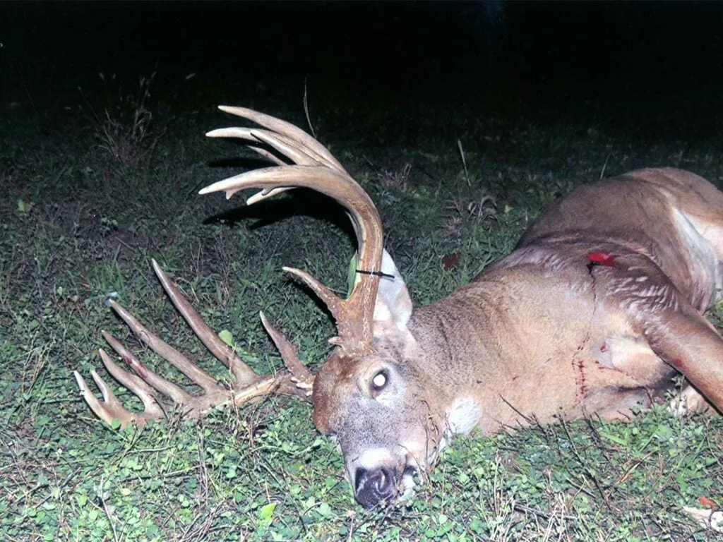 The Pottawatomie Co., Kansas 187 2/8-inch bowkill buck