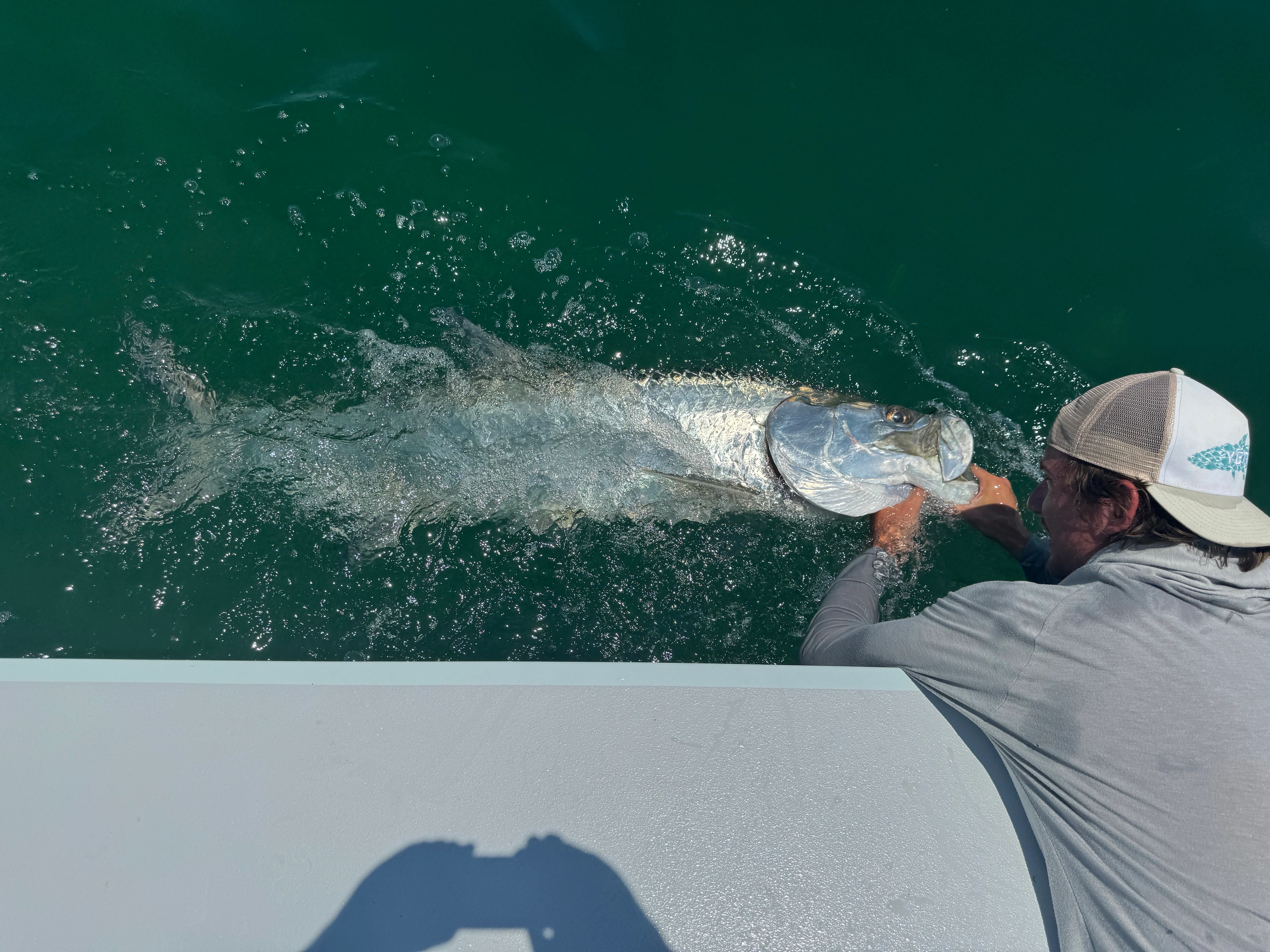 Chelius-Tarpon