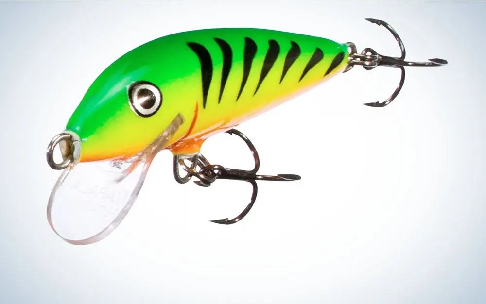 Baits, Lures & Flies photo