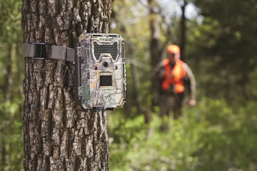 Hunter checks a trail camera for pictures of whitetail deer.