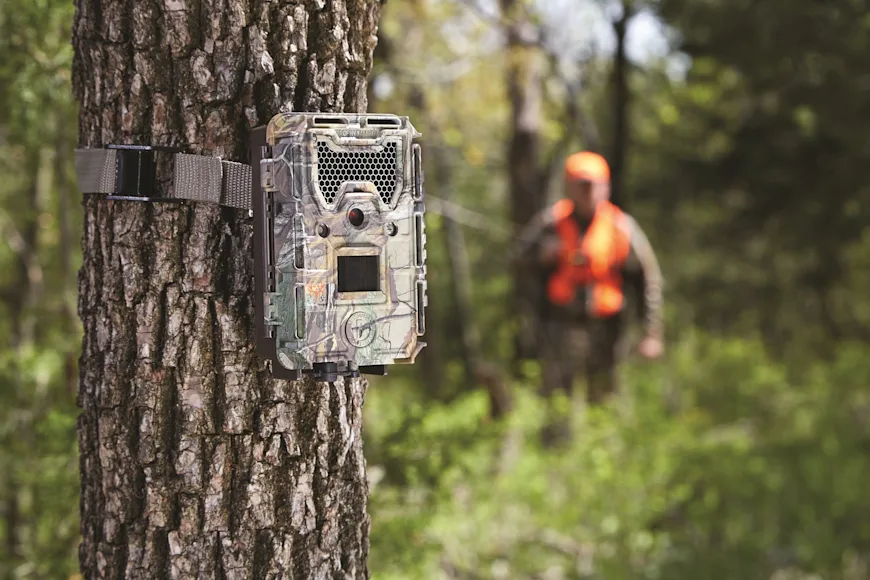 Hunter checks a trail camera for pictures of whitetail deer.