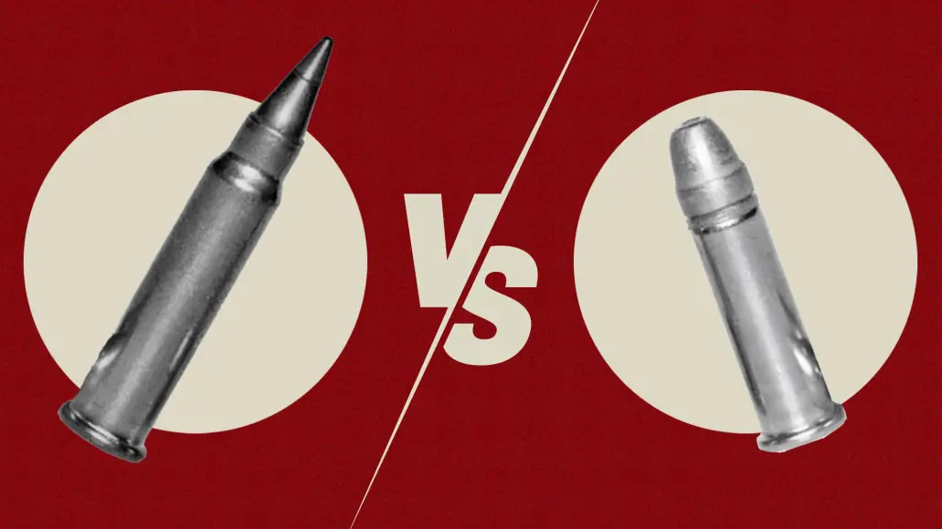 The 17 HMR vs the 22 LR.