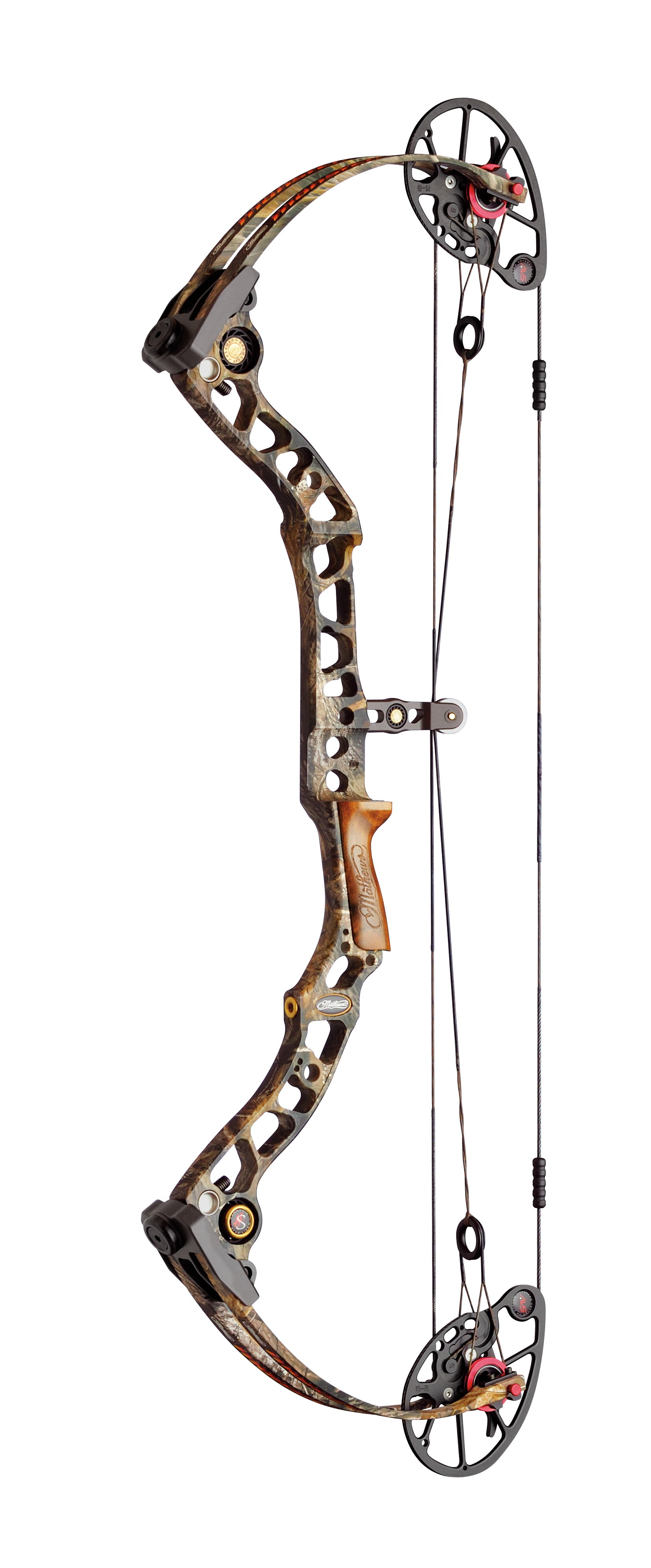 Compound Bows photo