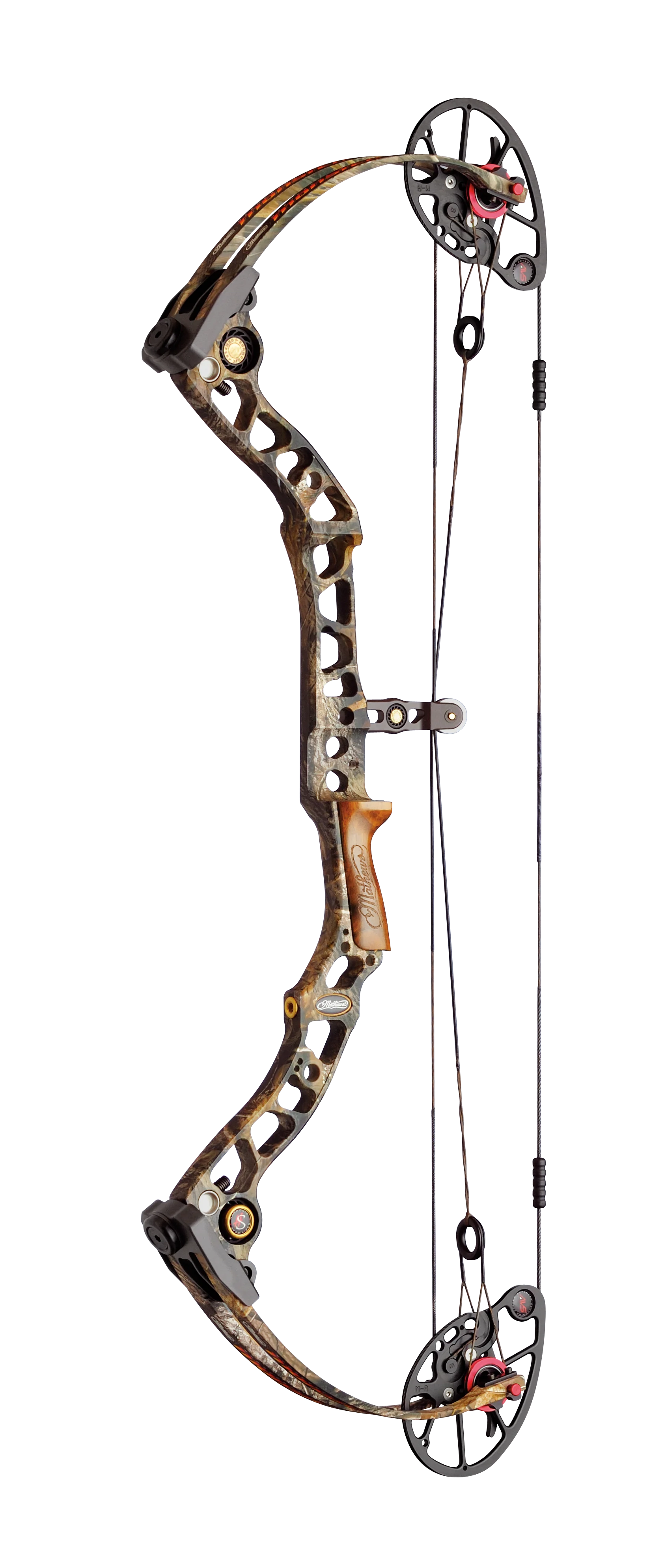 Compound Bows photo