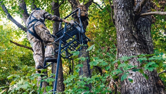 Ladder stands