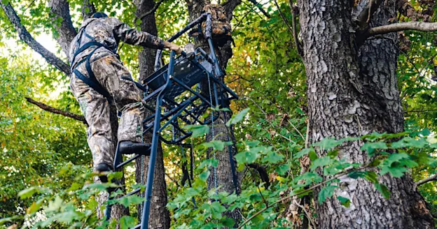 Ladder stands