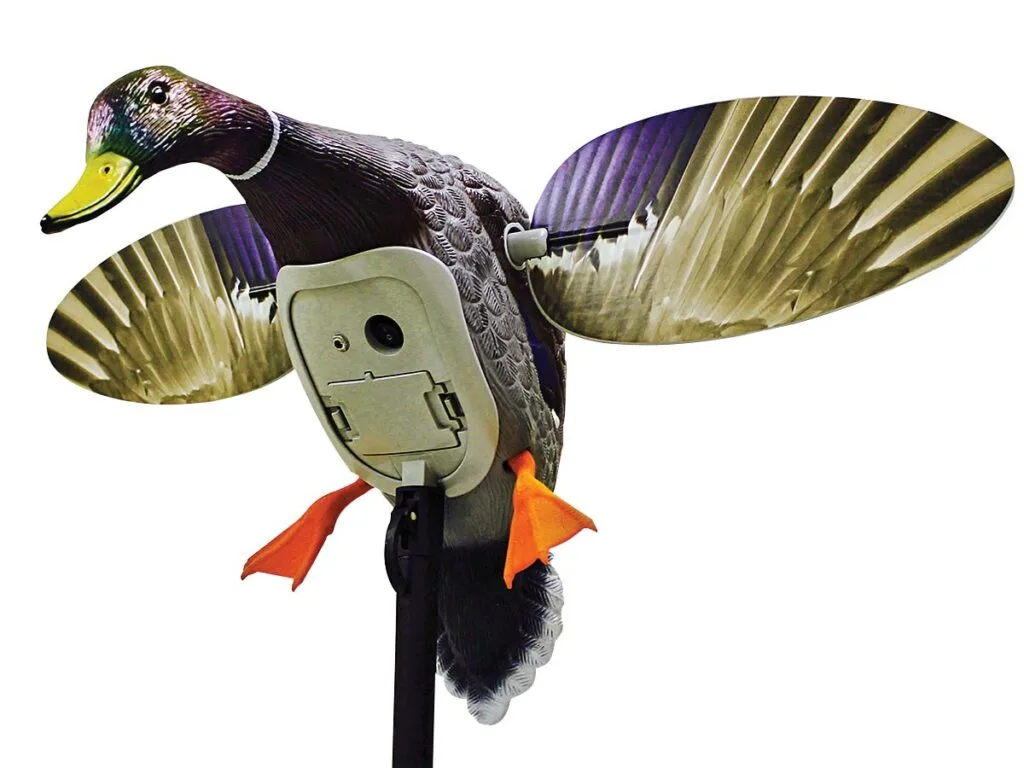 Mojo Outdoors King Mallard duck decoy