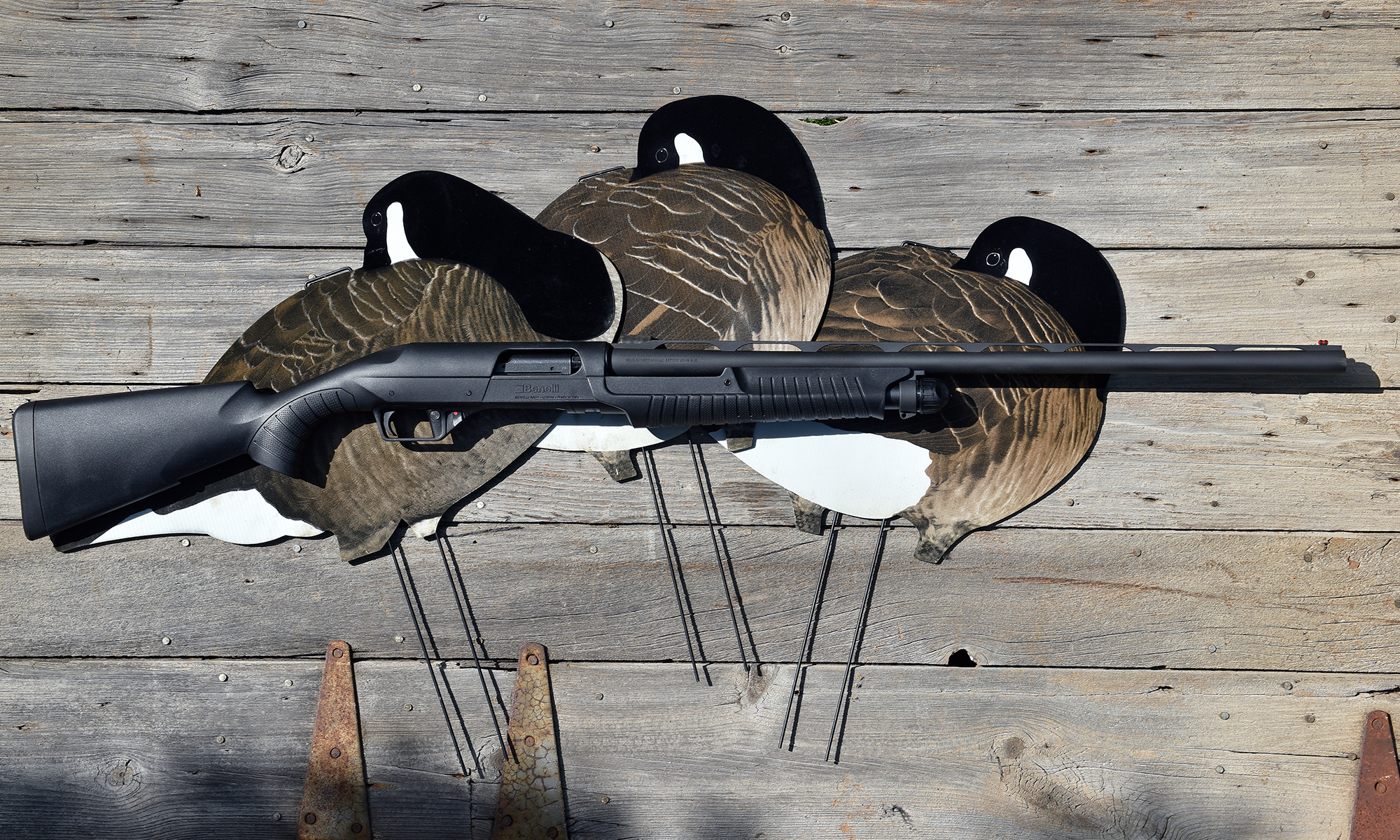 The new Benelli Nova 3 shotgun on barn board with three goose decoys. 
