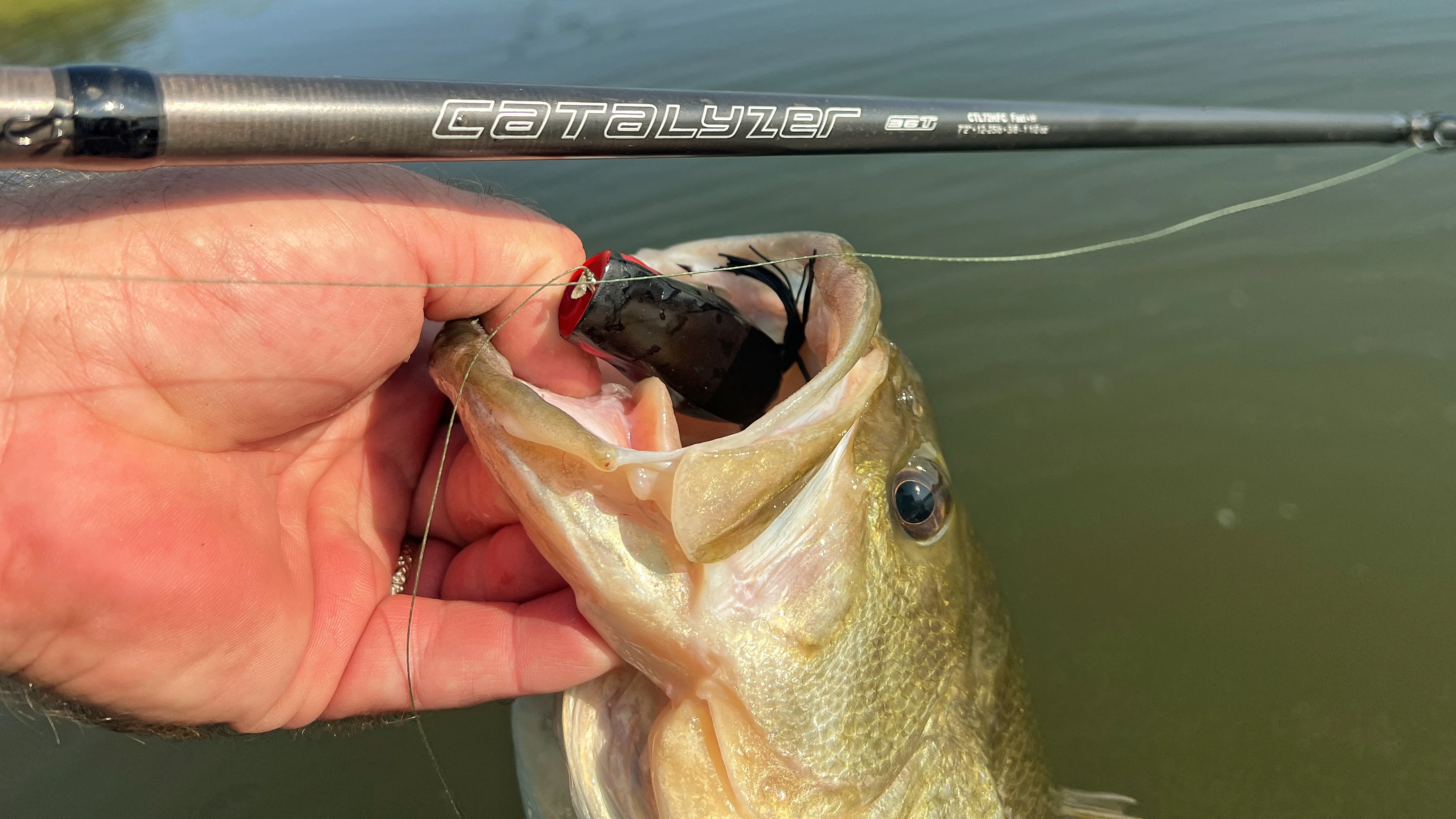 Angler holds up bass with frog in mouth next to rod